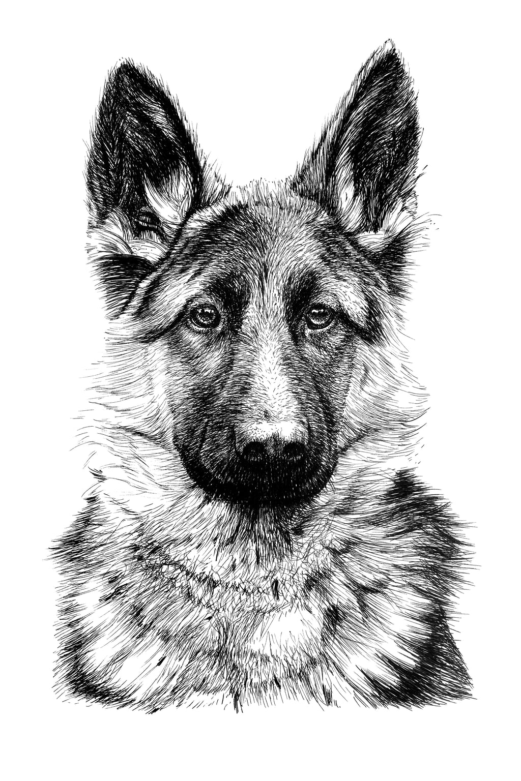 Custom Dog Sketch Drawing – Beginner-Friendly Practice Line Art
