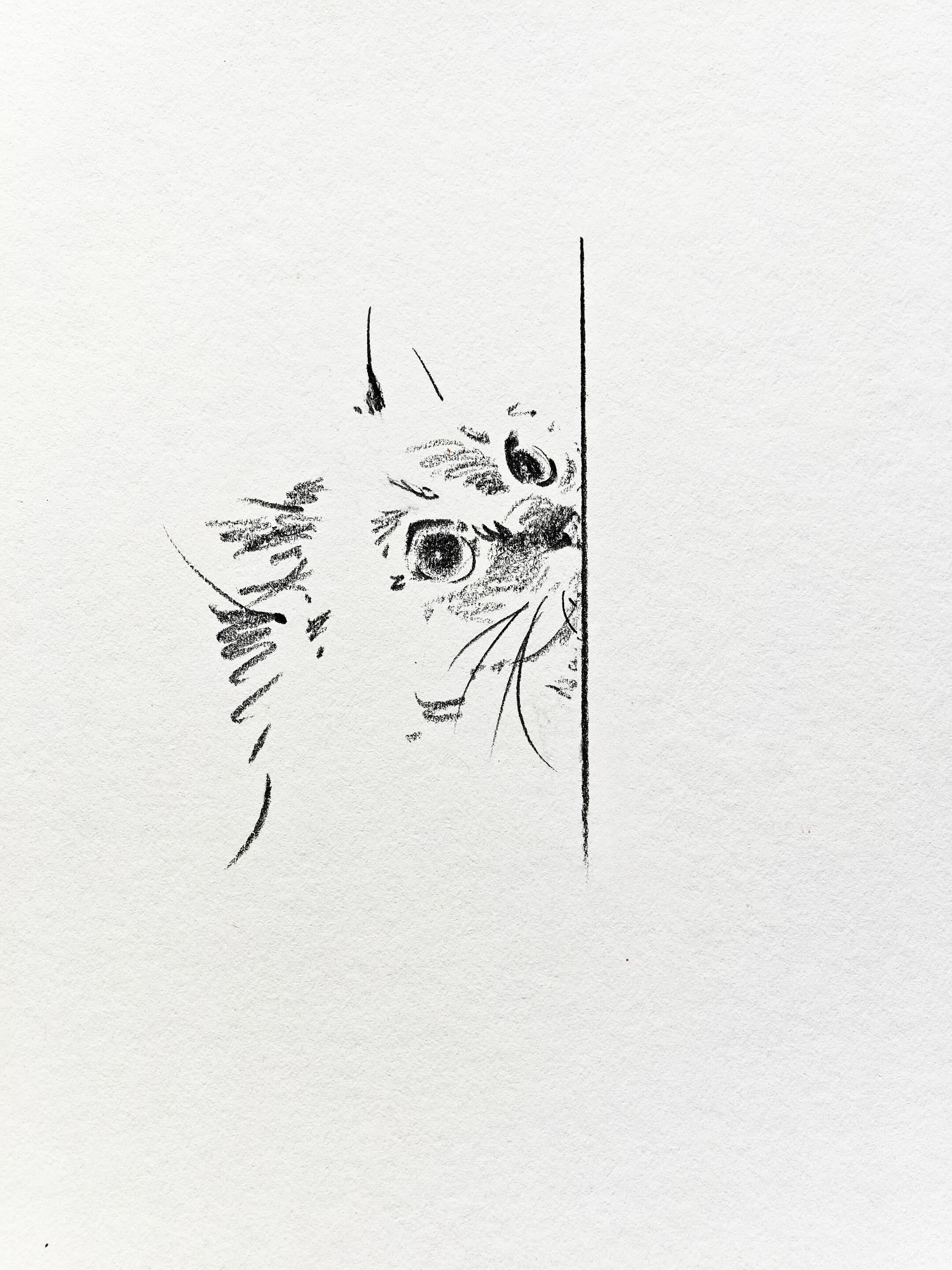 Nabi Sketchbook Collection - Original Hand-Drawn Cat Portraits