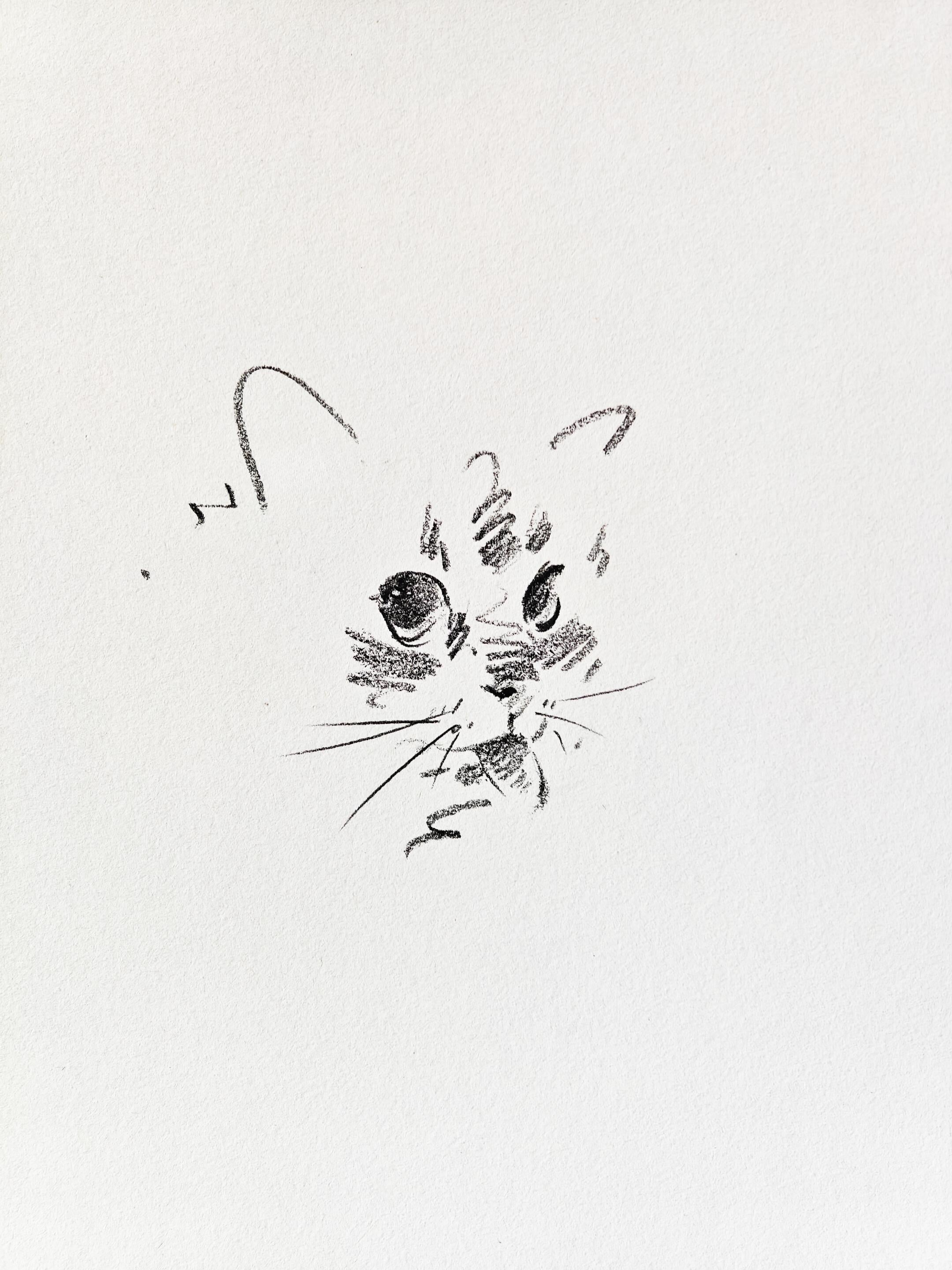 Cute Pet Portrait Collection + Basic Drawing Video Tutorials - Artist Rose