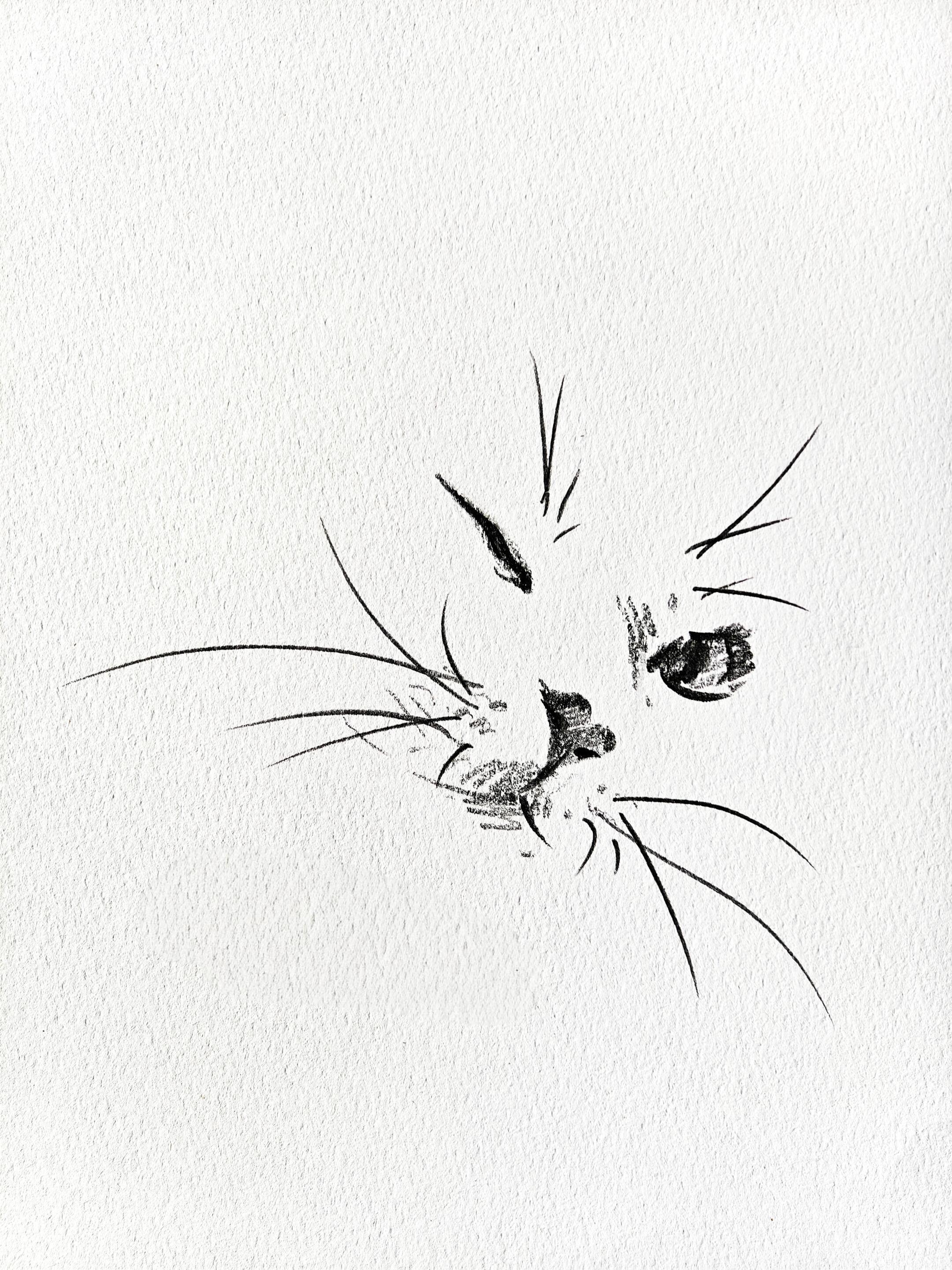 Nabi Sketchbook Collection - Original Hand-Drawn Cat Portraits